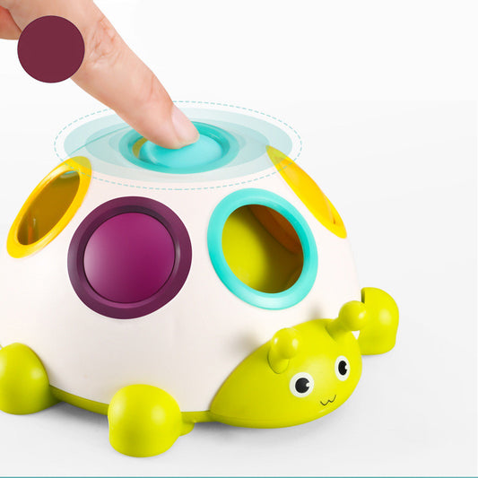 Activity toy Turtle